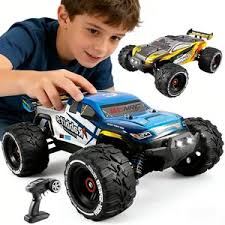 Professional RC Hobby Car