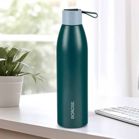 Insulated Stainless Steel Bottle
